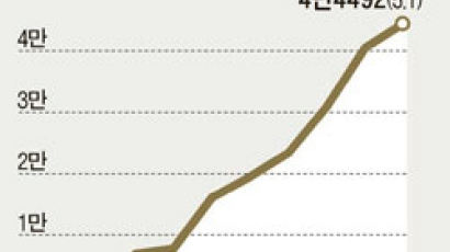 올 외제차 수입 5만 대 넘어