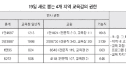 막강 교육감 '묻지마 선출' 우려