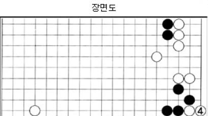[바둑] '제 12회 삼성화재배 세계바둑오픈' 순둥이와 청룡도
