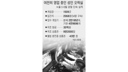 '바다이야기' 단속 후 기계값 폭락하자 '메뚜기' 성인오락실 활개