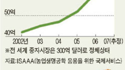 대체에너지 원료인 ‘유전자변형(GM)작물’ 대박