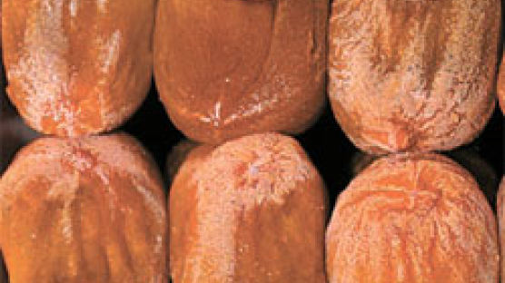 [장바구니리포트] 좋은 곶감은 맑은 주황색 … 작년보다 20~30% 싸
