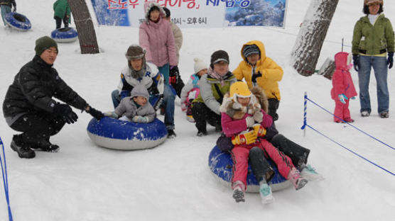 [사진] 울릉도 첫 눈꽃축제