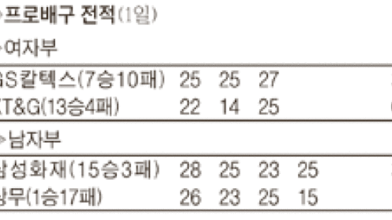 여자 프로배구 ‘반란의 계절’