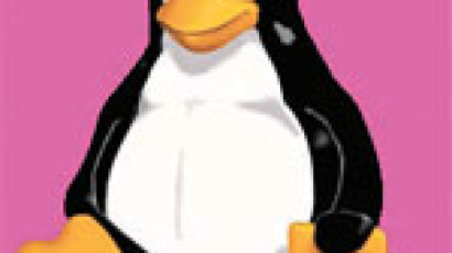 한글‘리눅스 PC’곧 출시