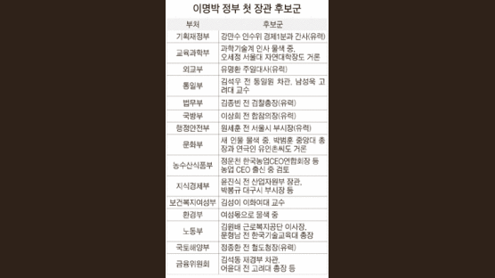 당선인 대변인 “내각 라인업은 짜여져 있다”