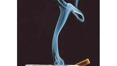 흡연고수파 VS 금연성공파