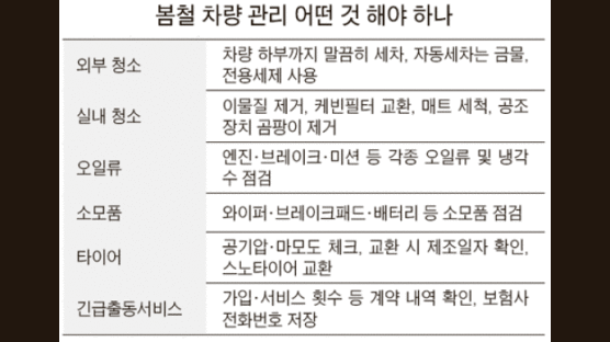 봄처녀 제~ 오시네 세차·점검하라 하네