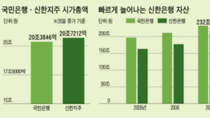 신한 ‘은행 대장주’ 됐다