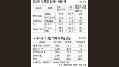 보험개발원이 부품 수입회사 세우는 까닭은