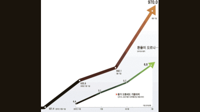 [CoverStory] 브레이크 고장난 환율 … 뛰는 물가에 기름 붓나