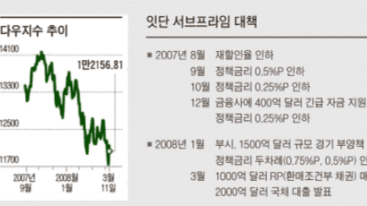 미국판공적자금 ‘묘약일까 독약일까’