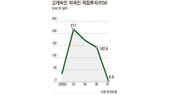 노무현 정권 때‘반외자 정서’… 외국인 투자 3년 연속 내리막