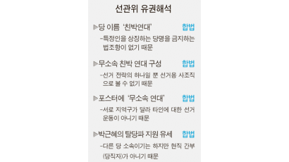 ‘친박연대’ 당명 사용 ‘합법’ 박근혜, 탈당파 지원유세 ‘합법’