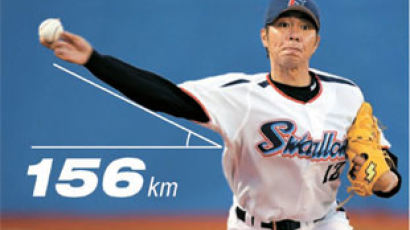 ‘일본 야구에 욘사마 떴다’