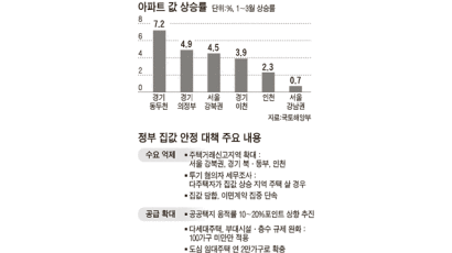 정부, 집값 뛴 서울 강북 - 경기 북부 세무조사 칼 빼들었다