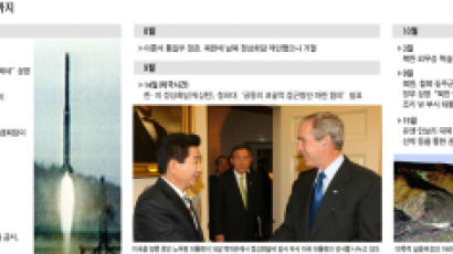 북핵외교 관계자 “청와대 발표 실제상황과 거리 있었다”