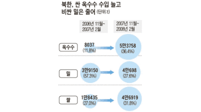 북한 곡물 수입 ‘돌려 막기’