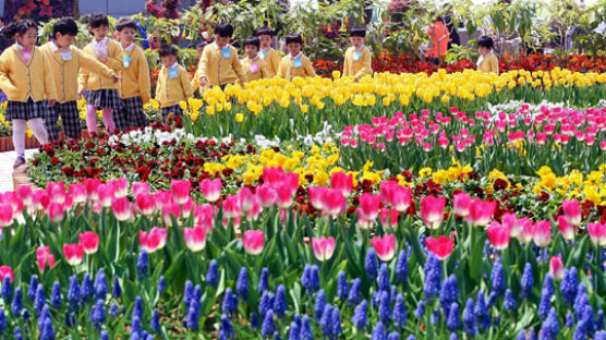 [사진] 봄의 향연 ‘고양 꽃축제’