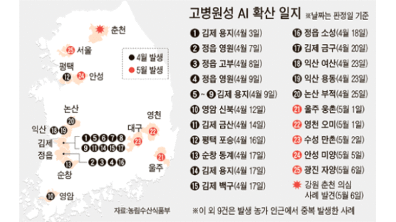 ‘고병원성 AI’ 서울도 뚫렸다