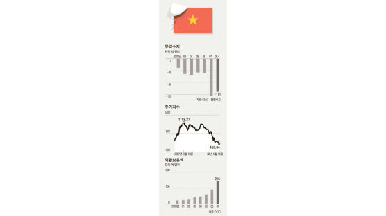 베트남 펀드의 비명