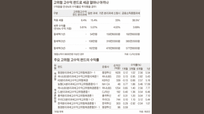 펀드도 분리과세해야‘절세 미인’