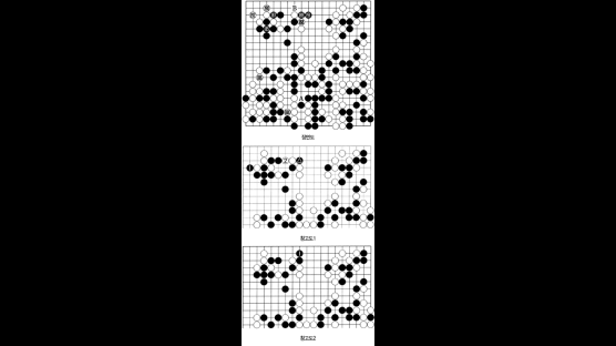 [제6회 응씨배 세계바둑선수권] 표적 발생