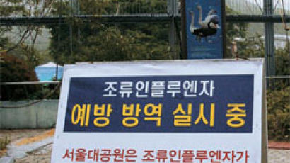 서울 AI 확산 멈췄지만 … 동물원은 아직도 ‘비명’