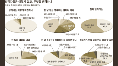 [다시 뛰는 실버] 돈보다 일자리 … “보수 적은 자원봉사도 좋아”