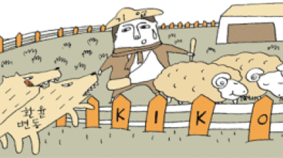 [틴틴경제] KIKO의 비명 … 키코가 뭐기에 중소 수출 기업들이 난리인가요