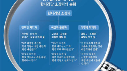 5가지 키워드로 본 ‘당·청 파워게임’