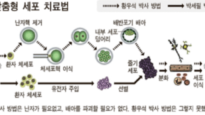 난자 안 쓰고 만능 줄기세포 만든다