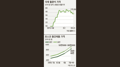 철광석 값 두 배 올랐다