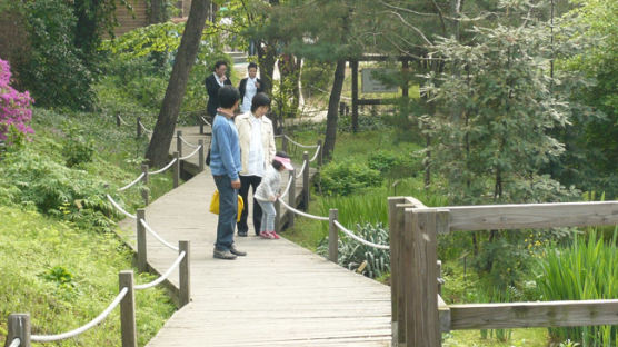 녹색 걷기 ① / 홍릉수목원 산책