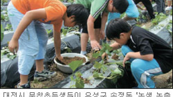 대전지역 첫 ‘농촌체험마을’