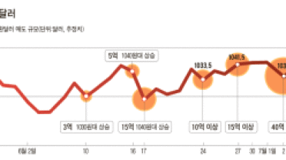 [Cover Story] 요동 치는 환율 … 가슴 치는 기업