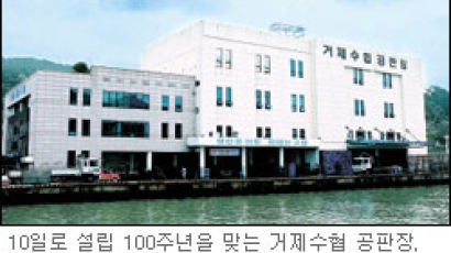 국내 첫 거제수협 설립 100주년