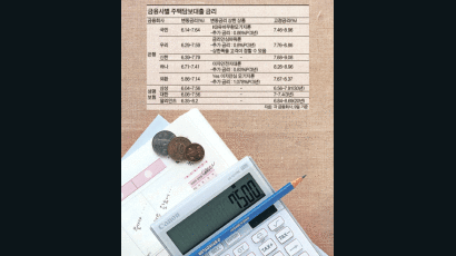 ‘겁나는 대출 이자’ 비켜가기 작전