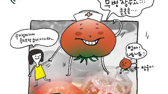 [e칼럼] 의사 얼굴 파랗게 질리게 한 토마토