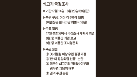 한나라 “광우병 괴담 배후 밝힐 것” 민주당 “졸속 협상 배경 추궁할 것”