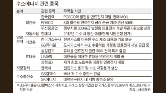 수소, 차세대 유망주 ?