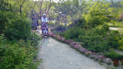 녹색걷기 ② / 평강식물원 산책