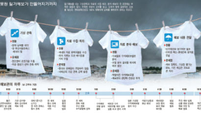 10년 새 보직 변경 10번 … ‘날씨 베테랑’ 안 키우는 기상청