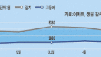 몸값 치솟은 고등어 “맞짱 뜨자, 갈치”