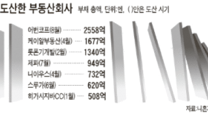 일본 부동산 회복 중 다시‘휘청’