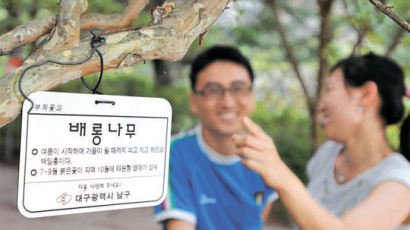 [사진] 등산로 나무에 이름표 달기
