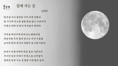 [중앙 시조 백일장 8월] “헤매던 밤길 빛나던 달에 젖어 …”