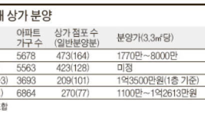 [REAL ESTATE] 지금 잠실에선 …