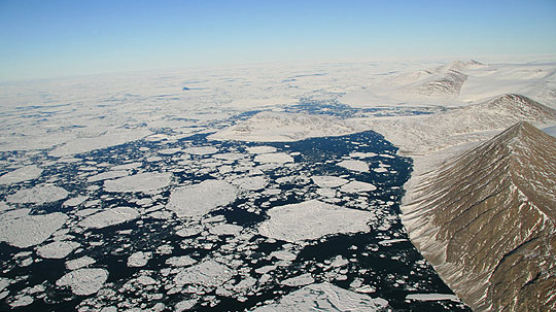 [환경포토] 녹아내리는 빙붕 … 북극곰 “나 어떡해”
