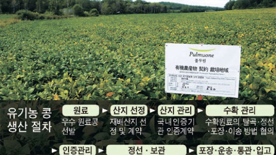 만주땅서 자라는 한국 콩 … 우리 밥상 오른다